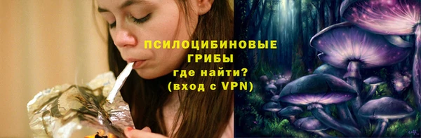 спайс Алзамай