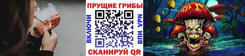 Псилоцибиновые грибы мицелий  ОМГ ОМГ зеркало  Павлово 